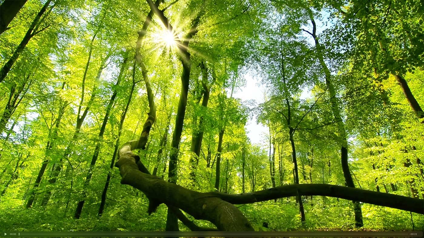 the sacred initiation