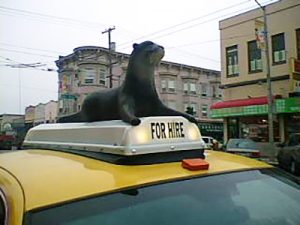 otter on cab original 72dpi 400x300 1