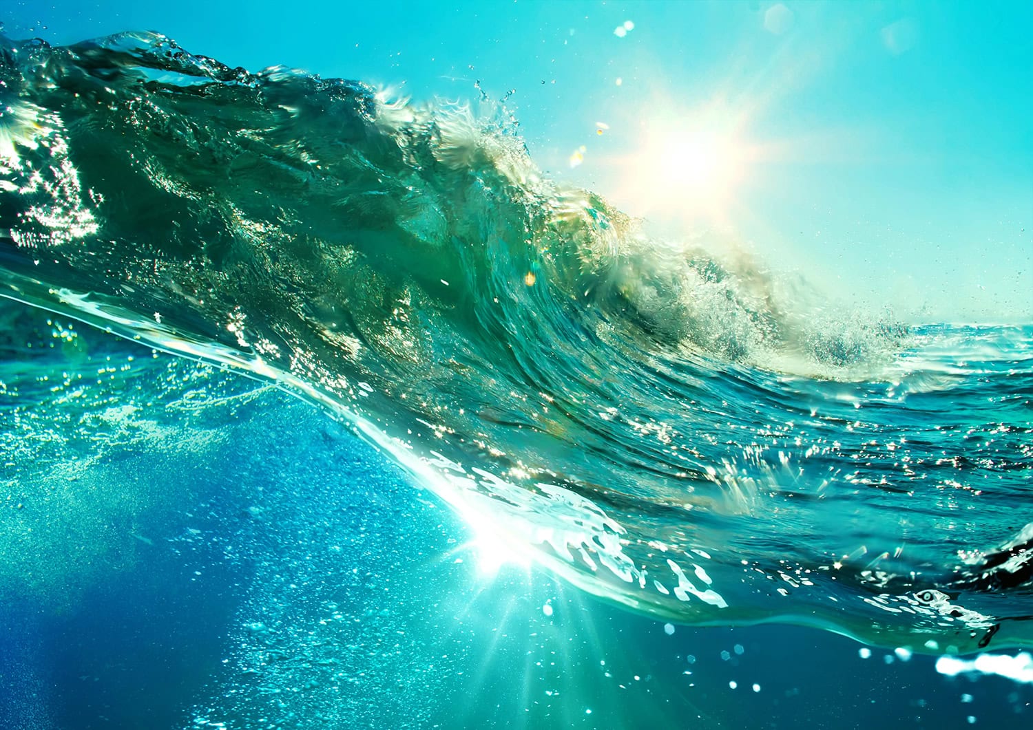 the thousand sacred no’s